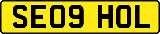 SE09HOL