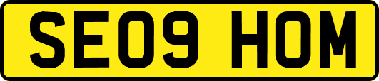SE09HOM