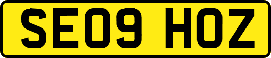 SE09HOZ