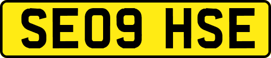 SE09HSE