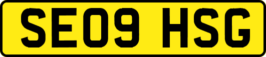 SE09HSG