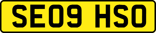 SE09HSO