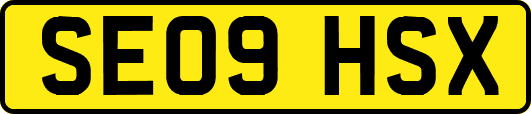 SE09HSX