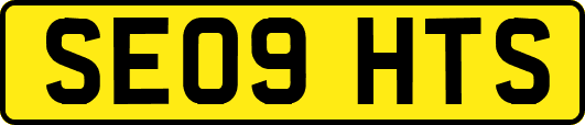 SE09HTS