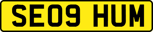 SE09HUM