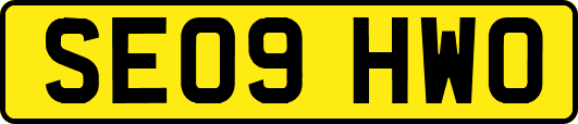 SE09HWO