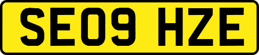 SE09HZE