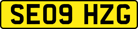 SE09HZG