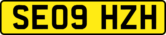 SE09HZH