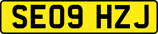 SE09HZJ