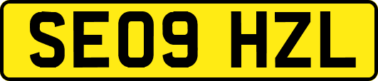SE09HZL