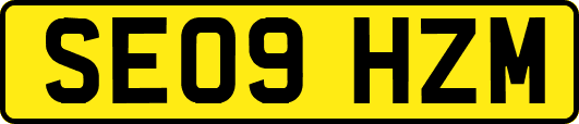SE09HZM