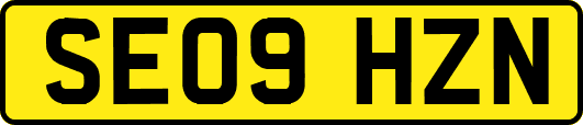 SE09HZN