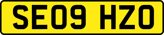 SE09HZO