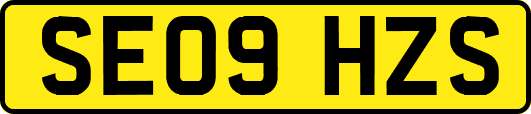 SE09HZS