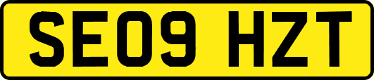 SE09HZT