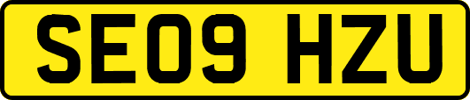 SE09HZU