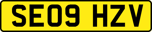 SE09HZV