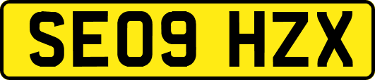 SE09HZX
