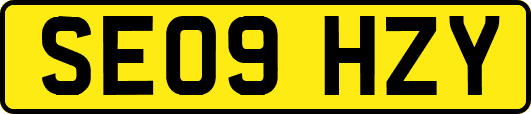 SE09HZY
