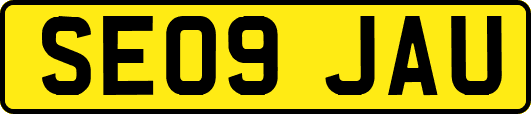 SE09JAU