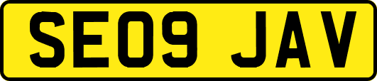 SE09JAV