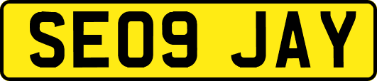 SE09JAY