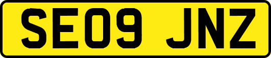 SE09JNZ