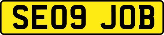 SE09JOB