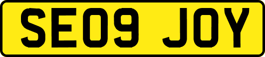SE09JOY