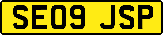 SE09JSP