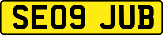 SE09JUB