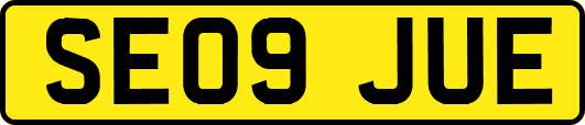 SE09JUE