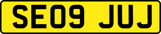 SE09JUJ