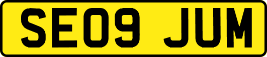 SE09JUM