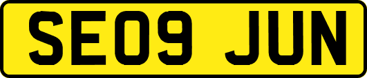 SE09JUN
