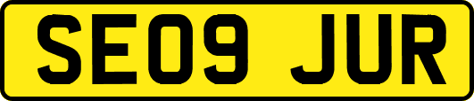 SE09JUR
