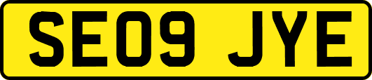SE09JYE