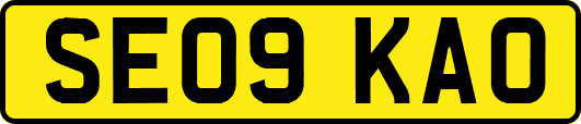 SE09KAO