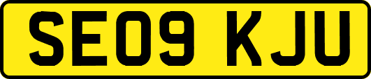 SE09KJU