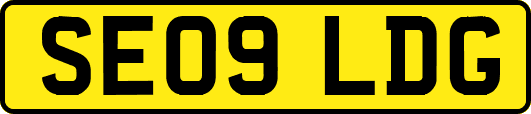 SE09LDG