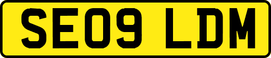 SE09LDM