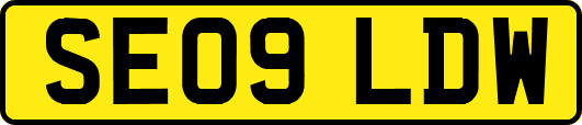SE09LDW