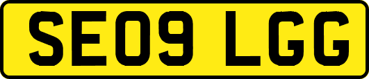 SE09LGG