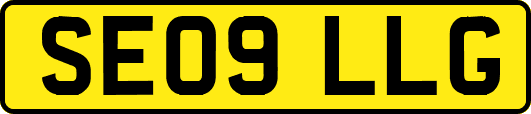 SE09LLG