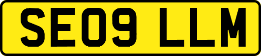 SE09LLM