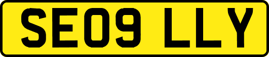 SE09LLY
