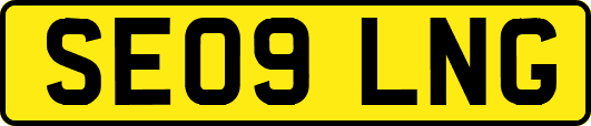 SE09LNG