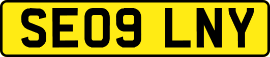 SE09LNY