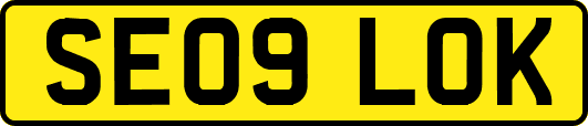 SE09LOK